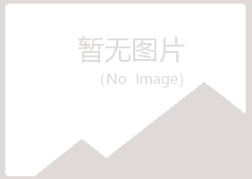 鹤壁山城夏菡化学有限公司